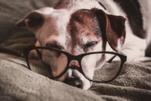 5 Easy Steps For Better Quality Night's Sleep