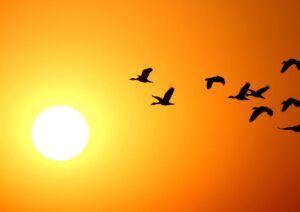 10 Best Morning Secrets For a Productive Day I Best Morning Routine For Energy